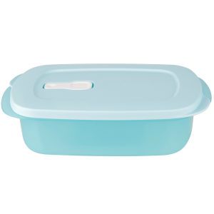 Tupperware 1L Lunch Box Cute Portable Leakproof Microwavable Freezable Food Storage Container