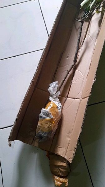Buyer review video 2