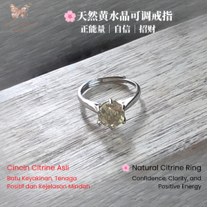 Natural Citrine Adjustable Ring Collection Silver-Plated Yellow Crystal Ring Women Jewelry Gift November Birthstone (Style #9)-RRC