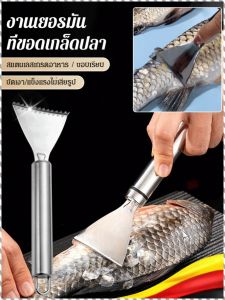 ที่ขูด ทนทาน มีดโกน ทนต่ออุณหภูมิสูง ทําความสะอาดง่าย ถือได้สบาย สะดวก ผู้ใช้ที่บ้าน รูปร่างเล็ก