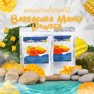 ผงมะม่วงน้ำดอกไม้ mango ขนาด100กรัม ผลไม้มากสรรพคุณบำรุงกาย