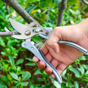 Kéo Làm Vườn Kéo Cắt Tỉa Cành SK5 Kéo Bấm Cắt Tỉa Cây Cảnh Kéo Cắt Tỉa Vườn Hoa BonSai Sắc Bén Mạnh Mẽ Cao Cấp