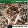 Aroid Potting Mix (Peat coarse + Perlite Cocochip med + Pumice fine + Rice husk) (6L). 