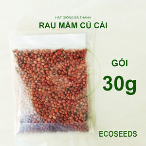 [EcoSeeds] Hạt Giống Rau Mầm Củ Cải Trắng - Hạt To Nảy Mầm Nhanh Xuất Xứ Ấn Độ - Đóng Gói Lẻ