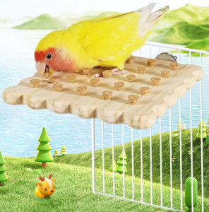 ของเล่นนกแก้ว เหมาะกับนกแก้วขนาดเล็ก เลิฟเบิร์ด ฟอฟัส ซันคอนัวร์ ติดตะแกรงได้ 18.5x10.5 CM