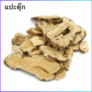 สมุนไพรจีน แปะตุ๊ก Baizhu 白术บำรุงธาตุ ขับลม ช่วยเจริญอาหาร ขับปัสสาวะ