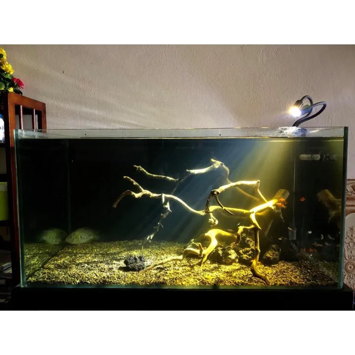 %C4%90%C3%A8n%20r%E1%BB%8Di%20Biotop%203W%20%C3%A1nh%20s%C3%A1ng%20v%C3%A0ng%20-%20Image%201