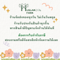 เมล็ดเจีย ออร์แกนิคแท้ มีอย. 100 240 800กรัม ตราฮักละมูลฟาร์ม Organic Chia seed เมล็ดเชีย เจีย เชีย. 