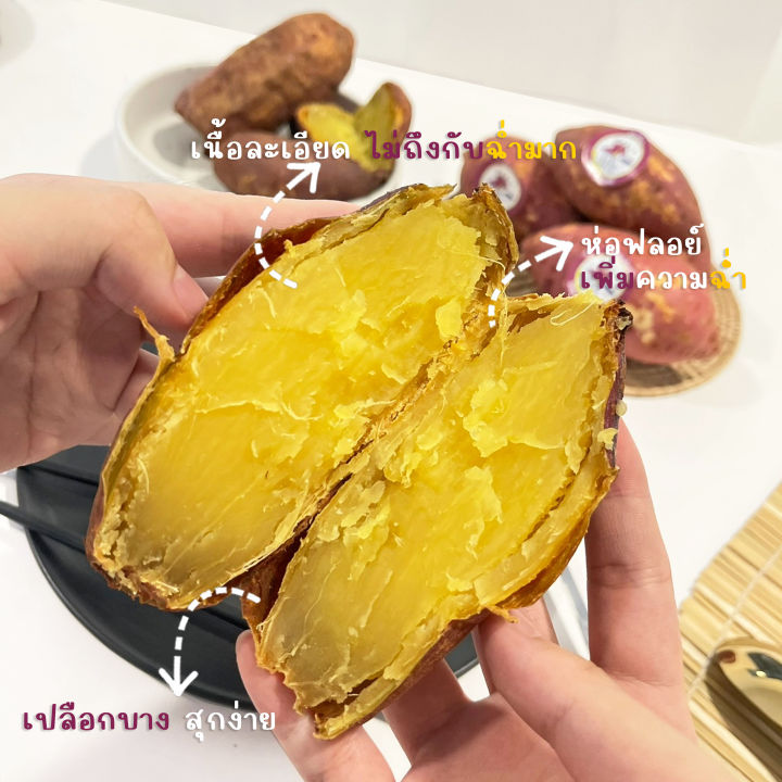 Oishi-Fresh%20%E0%B8%A1%E0%B8%B1%E0%B8%99%E0%B8%AB%E0%B8%A7%E0%B8%B2%E0%B8%99%E0%B8%8D%E0%B8%B5%E0%B9%88%E0%B8%9B%E0%B8%B8%E0%B9%88%E0%B8%99%E0%B8%AA%E0%B8%B2%E0%B8%A2%E0%B8%9E%E0%B8%B1%E0%B8%99%E0%B8%98%E0%B8%B8%E0%B9%8C%20Silk%20sweet%20%F0%9F%87%B9%F0%9F%87%AD%E0%B8%9B%E0%B8%A5%E0%B8%B9%E0%B8%81%E0%B9%84%E0%B8%97%E0%B8%A2%F0%9F%87%B9%F0%9F%87%AD%20%E0%B9%81%E0%B8%9A%E0%B8%9A%E0%B8%94%E0%B8%B4%E0%B8%9A%F0%9F%8D%A0%F0%9F%8D%A0%E0%B9%80%E0%B8%99%E0%B8%B7%E0%B9%89%E0%B8%AD%E0%B9%80%E0%B8%AB%E0%B8%A5%E0%B8%B7%E0%B8%AD%E0%B8%87%20%E0%B8%99%E0%B8%B8%E0%B9%88%E0%B8%A1%20%E0%B8%AB%E0%B8%AD%E0%B8%A1%20%E0%B8%89%E0%B9%88%E0%B8%B3%20%E0%B8%AB%E0%B8%A7%E0%B8%B2%E0%B8%99%E0%B8%95%E0%B8%B2%E0%B8%A1%E0%B8%98%E0%B8%A3%E0%B8%A3%E0%B8%A1%E0%B8%8A%E0%B8%B2%E0%B8%95%E0%B8%B4%20%E0%B8%AB%E0%B8%A7%E0%B8%B2%E0%B8%99.%E0%B8%88%E0%B8%B1%E0%B8%94%E0%B8%AA%E0%B9%88%E0%B8%87%2024%20%E0%B8%8A%E0%B8%A1.%20-%20Image%207
