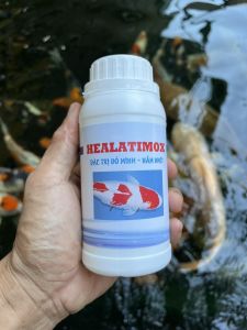 HEALATIMOX Trị đỏ mình nấm nhớt trên cá Koi