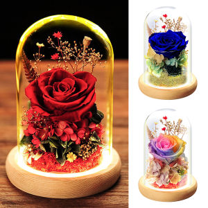 Hoa Khô Hoa Hồng Vĩnh Cửu Màu Đỏ Tươi Trong Vòm Kính Quà Tặng Ngày Lễ Tình Nhân Đồ Trang Trí Nhà Giáng Sinh - Lazada