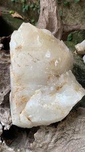 Viên đá Thạch Anh trắng vàng to lớn tự nhiên VỸ TRÚC tặng đế năng lượng vũ trụ cực mạnh 883