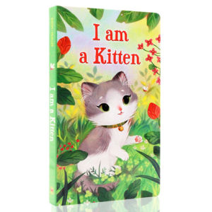 Richard Scarrys Cars and Trucks from A to Z Board book Board book Colouring English Activity Story Book for Kids