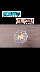 ฟักทองสีครีมสี่ฤดู ฤดูใบไม้ผลิและฤดูใบไม้ร่วง กล้วยเผือก น้ำผึ้งหวาน ฟักทองแดงหวาน ผัก