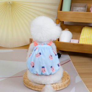 váy đầm baby doll Ladybug dành cho chó mèo - T3 PETS SHOP