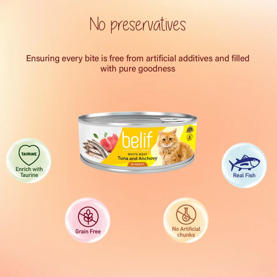 ALPHA PETS Belif Grain Free Cat Can Food 80G Wet Food Cat Canned