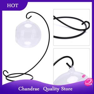 [Chandrae] Clear Ball Vase Landscape Terrarium Succulent Hanging Flowerpot Container