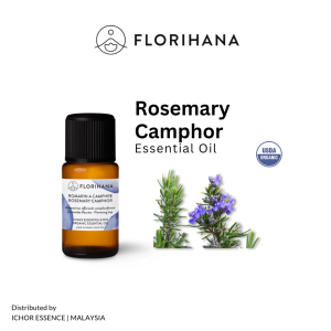 FLORIHANA Rosemary Camphor Organic Essential Oil - Aromatherapy Pure Natural | Made in France
