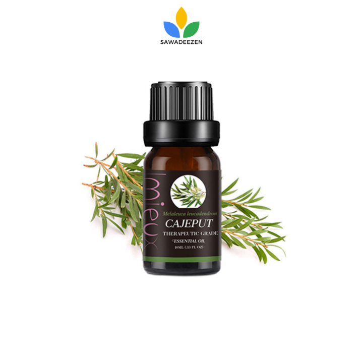 Cajeput Essential Oil, 100% Pure, Therapeutic Grade, 10 Ml น้ำมันหอม ...