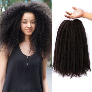 18Inch Synthetic Hair Crochet Braids Afro Kinky Curly Twists Braiding Hair Extension 18 Inch Crochet Hair Beach Curls Crochet Hair Hair Extensions For Curly Hair - Lazada