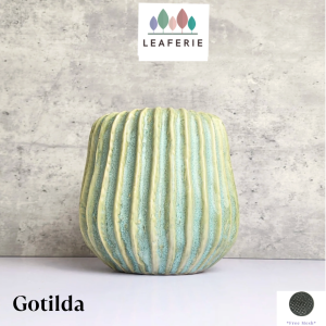 The Leaferie Gotilda plant pots. Ceramic flowerpot . flowerpots . flower pot . planter . planters