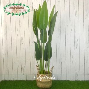 Pohon Hias Daun Pisangan Heliconia T120 Latex Artificial Pot Dasar Plastik Cover Anyaman Purun Belly Dekorasi Pajangan Ruang Tamu Aesthetic Hiasan Rumah