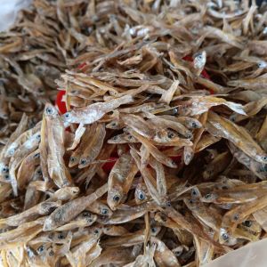 ปลาชิงชัง ปลาซิวตากแห้ง 1 กิโลกรัม