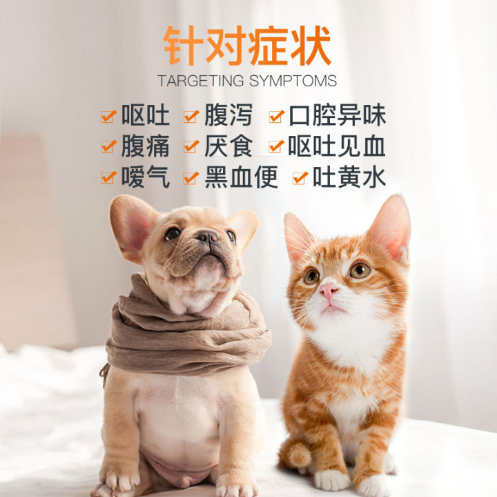 Puente Puxiting Cats Vomiting Dogs Spitting Yellow Water and Foaming