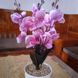 BUNGA ANGGREK ARTIFICIAL5 TANGKAI POT PLASTIK TINGGI 50CM // BUNGA DEKORASI RUMAH