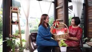 (พร้อมส่ง โปร Big SALE) เครื่องดื่มรังนก สูตร 100% Bonback บอนแบค ขนาด 42ซีซี หมดอายุปี 2026