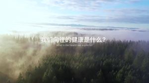 Meinde Calcium Tablets 150pcs – Vitamin D3 + K2 for Adults & Seniors Promotes Bone Collagen Absorption