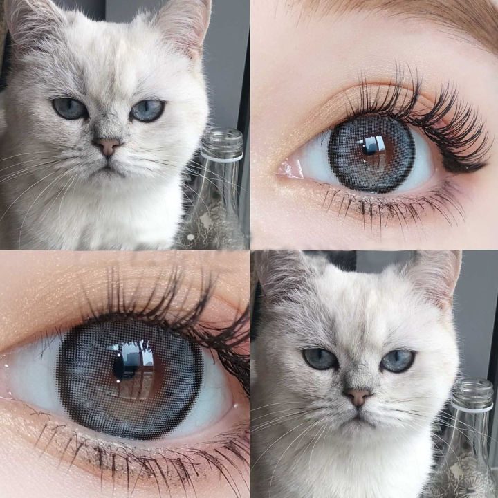 [COD] SOFTLENS DAWN SERI LENSA SOFTLENS LENSA NORMAL 14.5 MM | Lazada ...