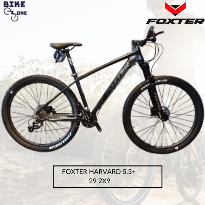 Foxter harvard 5.2 best sale 29er