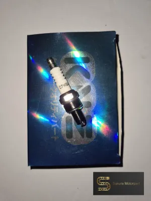 BUSI MOTOR C7HSA 10PC