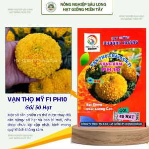 Gói 50 Hạt Vạn Thọ Thái Lùn F1 PH10 – Vàng Đậm
