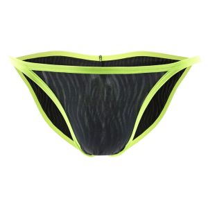 Mens Brief : Mesh Bikini Underwear (Fankazi F2005)