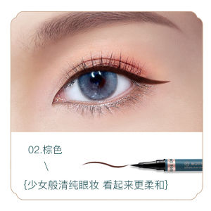 Dream Diary Eyeliner กันน้ำ กันเหงื่อ ติดทนนาน ไม่เลอะ อายไลเนอร์สีมือใหม่ ปากกาชนิดน้ำขายส่ง