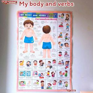 โปสเตอร์ Body พีชไทยอังกฤษจีน ภาษาไทยเบื้องต้น กขค ก.ไก่ ก-ฮ เสริมพัฒนาการ อนุบาล นิทานอีสป สูตรคูณ poster