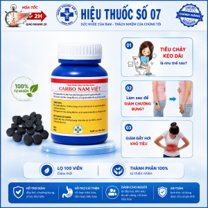CARBO Nam Việt Viên Than Hoạt Tính Hỗ Trợ Tiêu Hóa Đau Bụng Tiêu Chảy Lọ 100 Viên