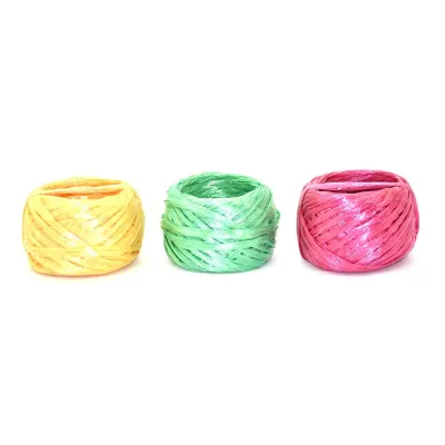 Plastic Raffia String 100 grams