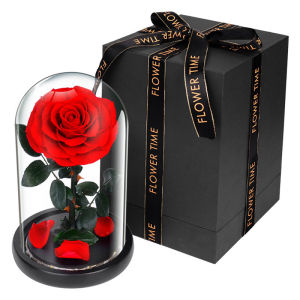 Seangel Preserved Real Rose Handmade Eternal Rose in Glass Beauty and The Beast Rose Gift for Her Valentines Day Mothers Day Anniversary Birthday Unique Gift for Her Best Gifts for Women