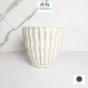 The Leaferie Quin plant pots Ceramic flowerpot flowerpots flower pot planter planters