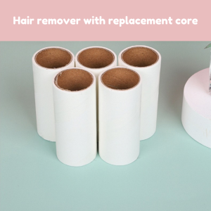 P66 Lint remover Pet fur remover detachable Refillable roll pet hair remover brush