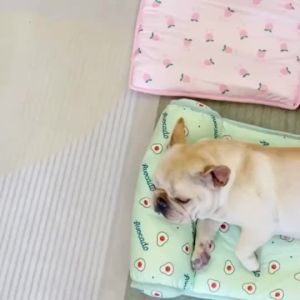 Cooling Ice Mat Summer Coolness Wear Resistant Bite Resistant Cat Dog Rubber Pads  Supplies