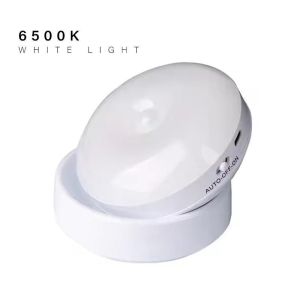 Night Light USB Motion Sensor Round Energy-saving Bedroom Wall Led Lamp Cabinet Wardrobe Lighting