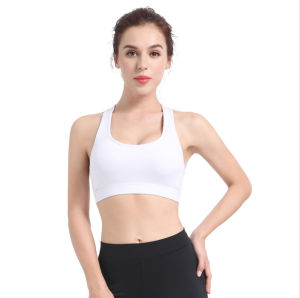 Quality Fabric Nylon Spandex Yoga Bra Top Fitness Beauty Gathering Shockproof Running Workout Fitness Sports Bra Comfy Wireless Padded  Jiameyxon 1881