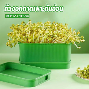 Chang กล่องเพาะถั่วงอก ถาดเพาะต้นอ่อน ไม่ต้องใช้ดิน นำกลับมาใช้ใหม่ได้ 1ชุด bean sprouts tray
