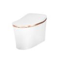 Kohler Bathroom Toilet Bowl Intelligent Water Closet  Eir. 