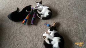 Kick Stix 15" Catnip Kicker Toy – Set of 2    Handmade in USA    Interactive Cat & Kitten Toy    Durable Kicker Packed with 100% Potent Catnip for All Breeds (Cat Selfies)