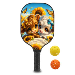 Lightweight Pickleball Paddle with Comfort Grip and Durable Fiberglass surface for Indoor/Outdoor sport racks ID 60625-1654451085